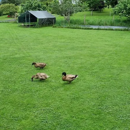 Apartment Casa Patos En Santillana del Mar