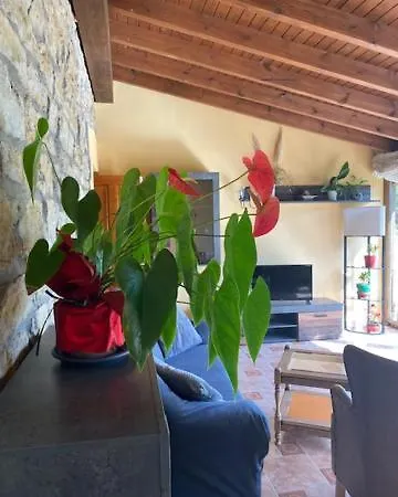 Casa Patos En
