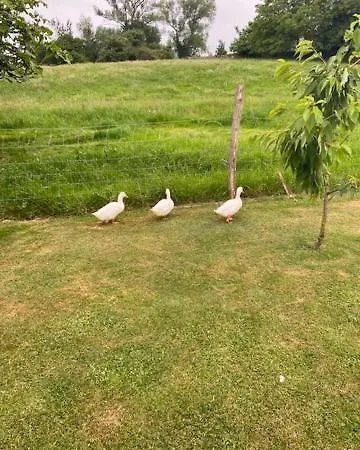 Casa Patos En Santillana del Mar