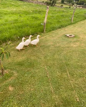 Casa Patos En