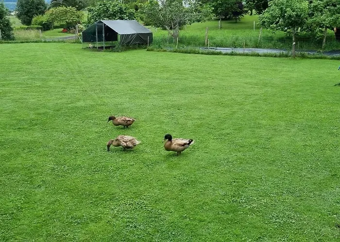 Apartmán Casa Patos En Santillana del Mar